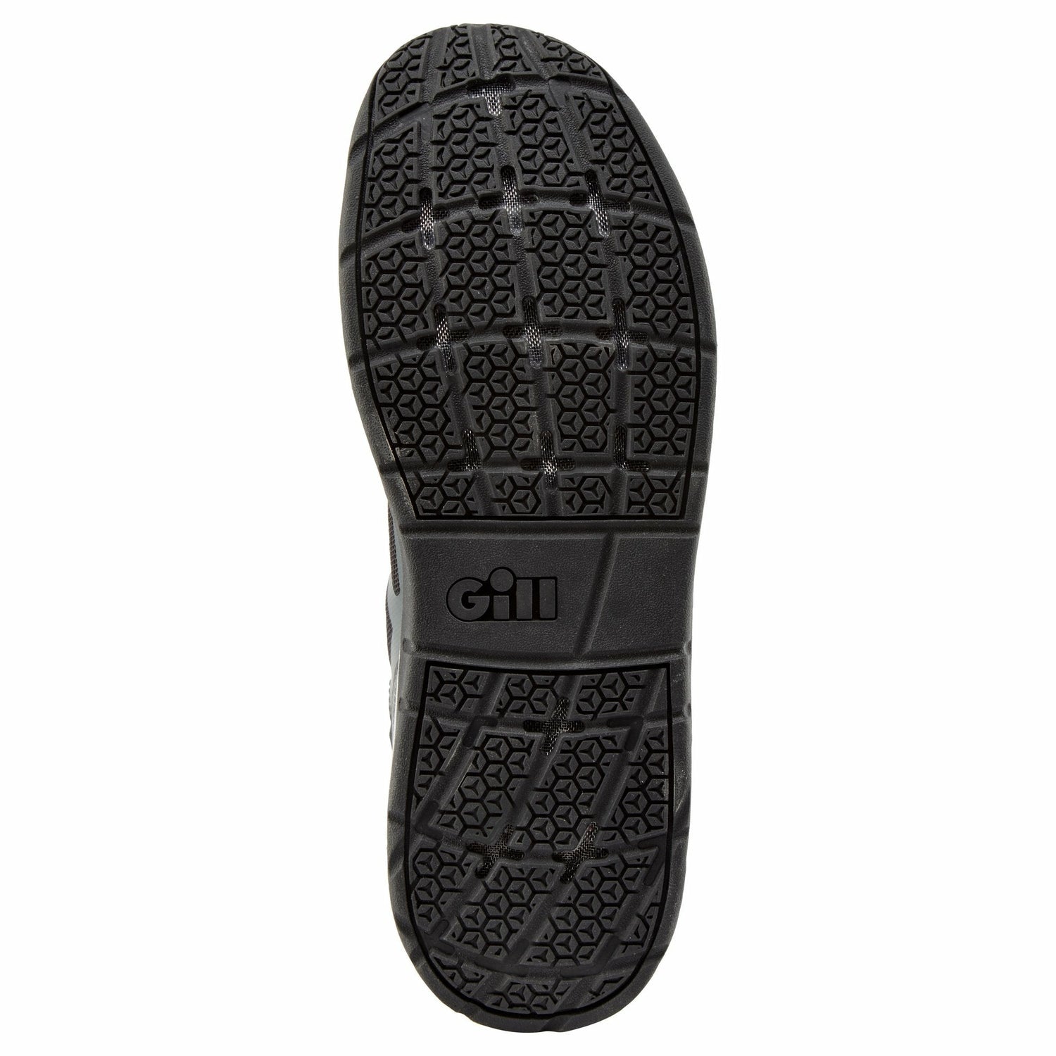 Gill - Race Trainer