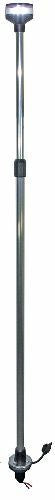 Telescopic LED Pole Light