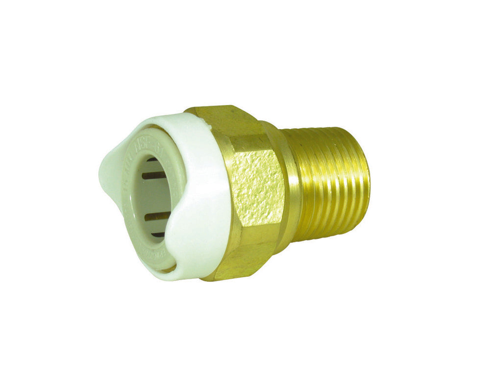 Whale® Brass Thread Adaptor