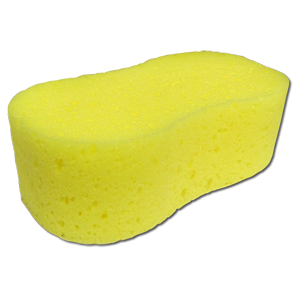 Sponge - Bone Shaped