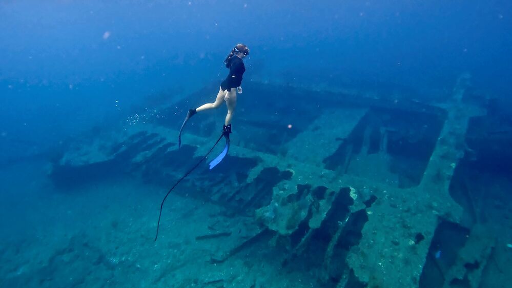 FREEDOM7 - Shark Deterrent System