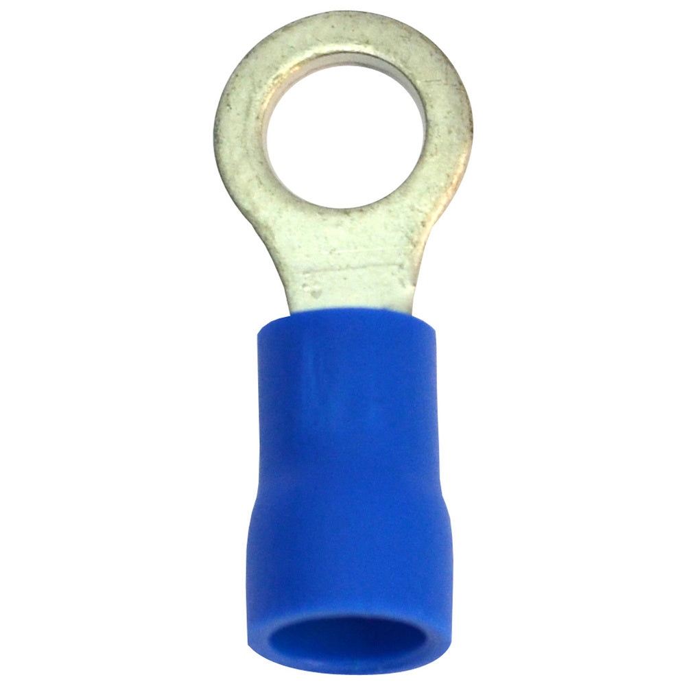 Blue Eye Terminal